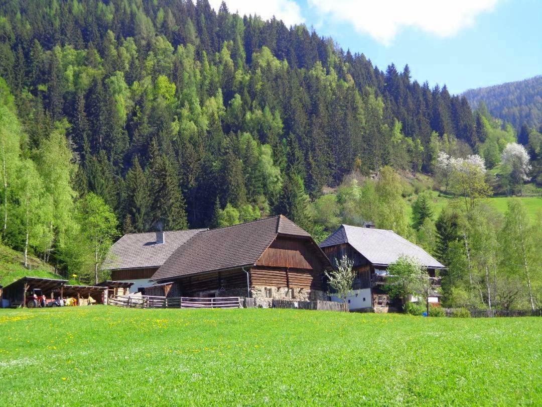 Apartment Zum Wasserfall Krakaudorf Экстерьер фото