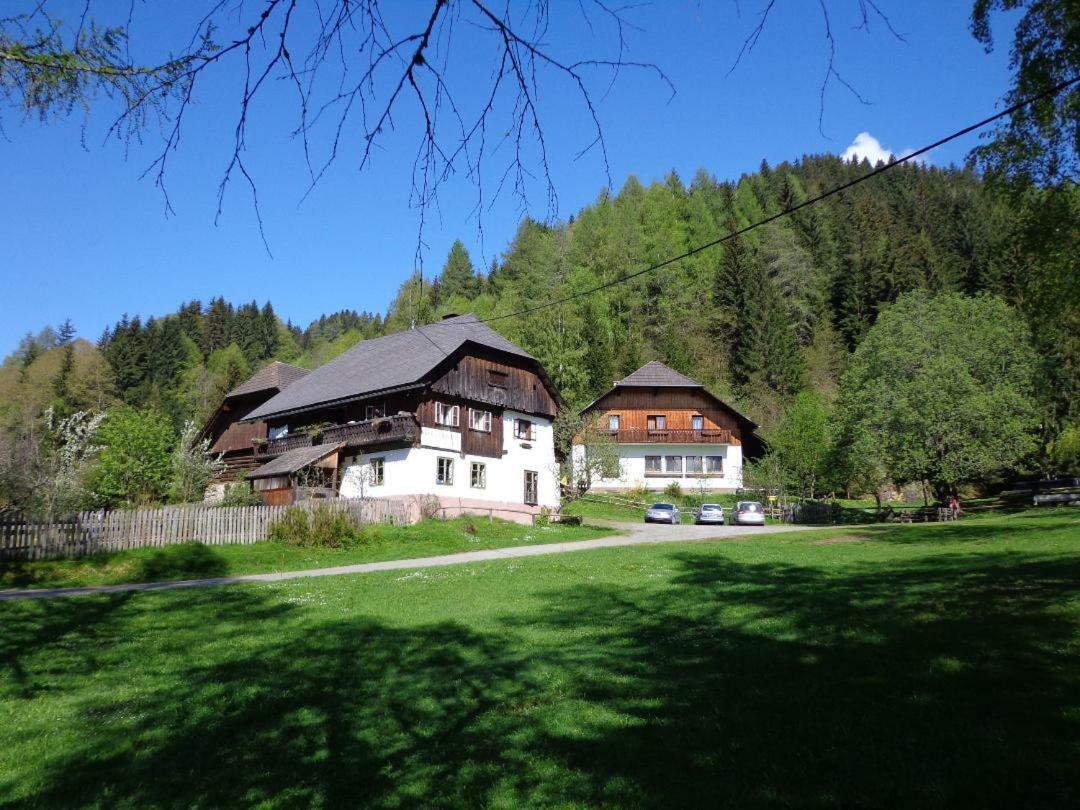 Apartment Zum Wasserfall Krakaudorf Экстерьер фото