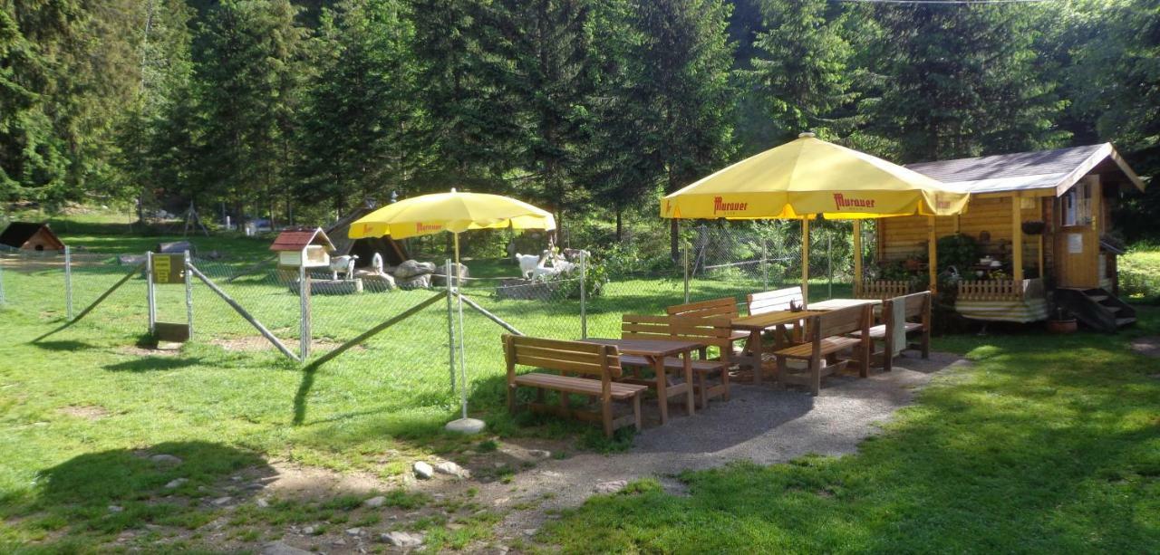 Apartment Zum Wasserfall Krakaudorf Экстерьер фото