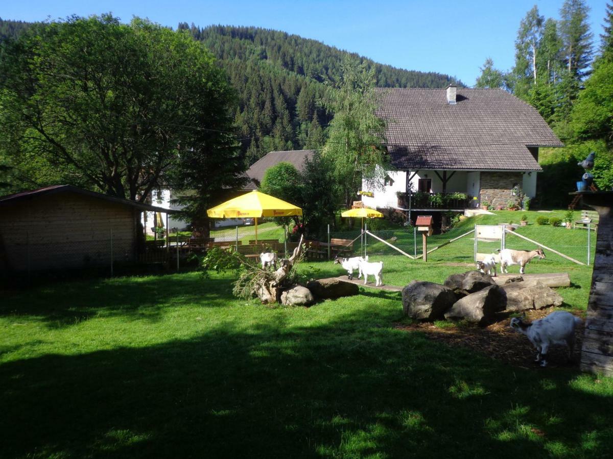Apartment Zum Wasserfall Krakaudorf Экстерьер фото